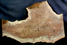 Claro Walnut Wood Natural Edge Slab (WA1219)