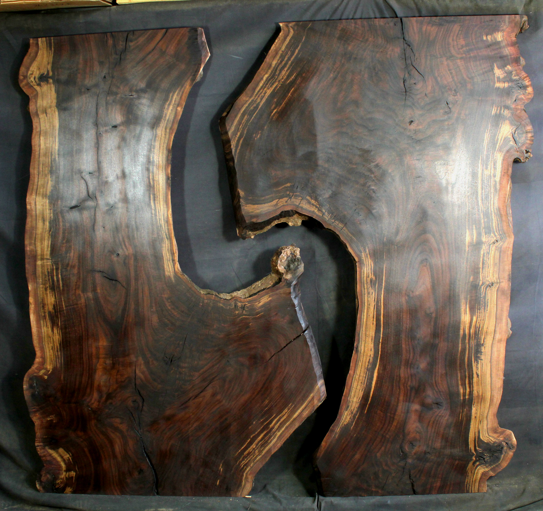 Claro Walnut Wood Natural Edge Slabs (WA1221)