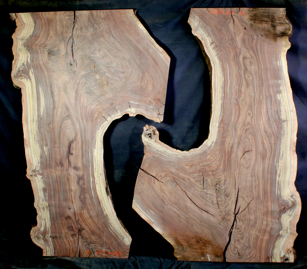 Claro Walnut Wood Natural Edge Slabs (WA1221)