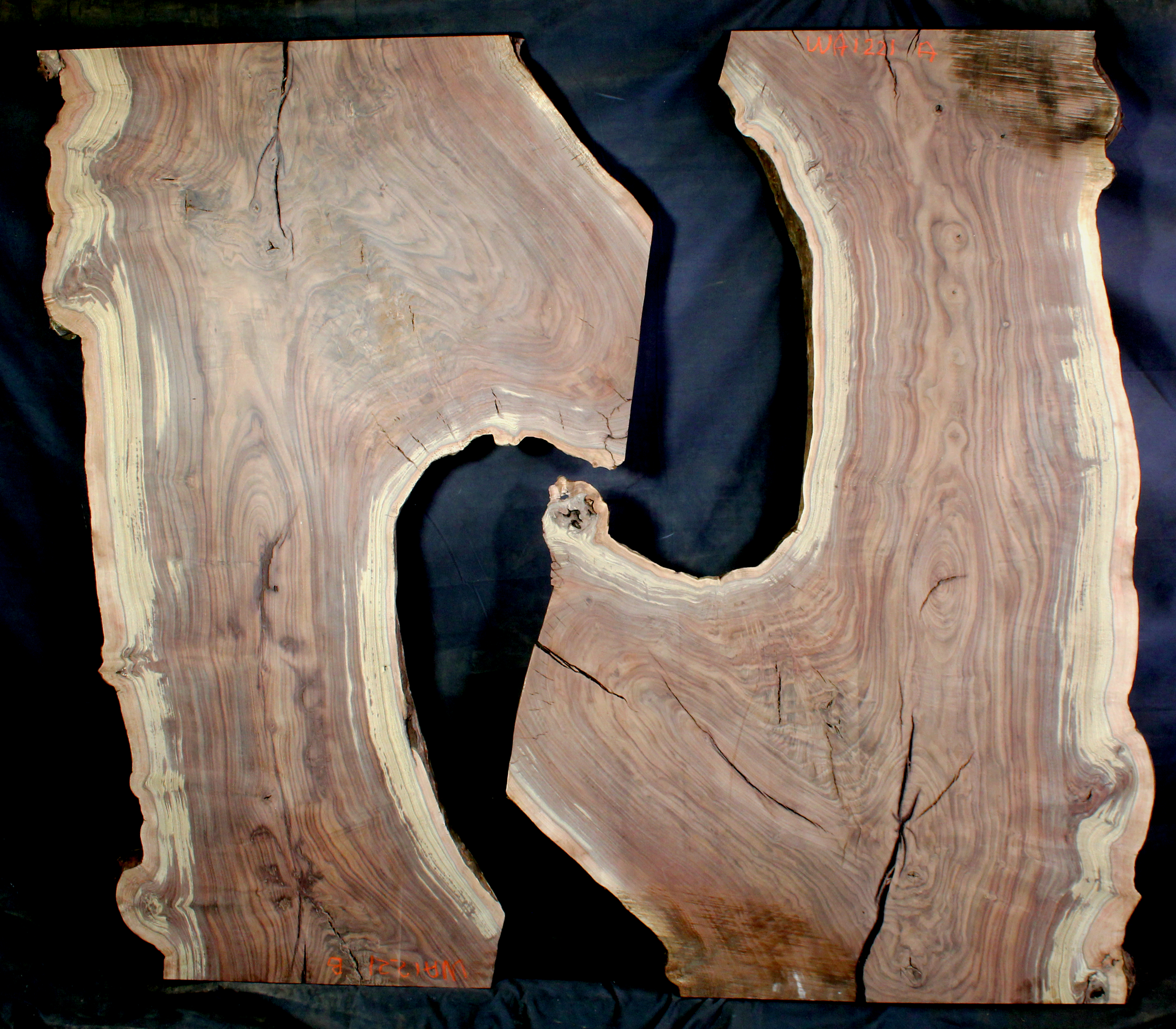 Claro Walnut Wood Natural Edge Slabs (WA1221)